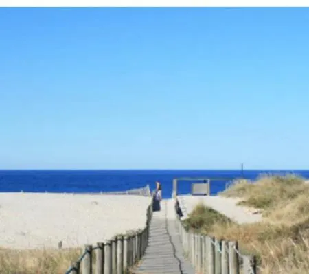 Amorosa ויאנה דו קסטלו