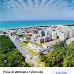 Amorosa * Viana do Castelo