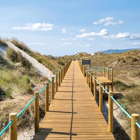 Amorosa Viana do Castelo